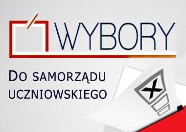 Wybory do Rady Dużego Samorządu Uczniowskiego